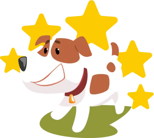 Hund mit Sternen