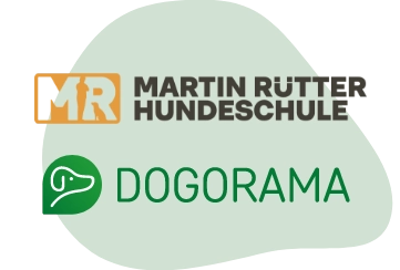 Dogorama Hundeführerschein Zusammenarbeit Martin Rütter Dogs und Dogorama